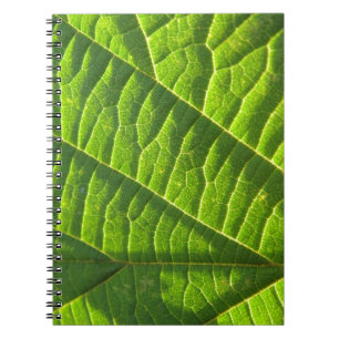 Cool green leafprint spiral notebook