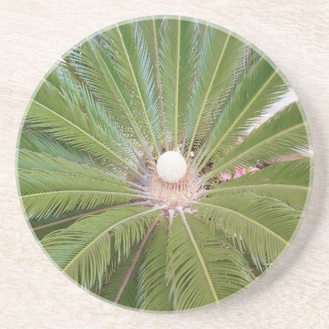 Cool Green Palm Coaster (Front)