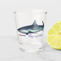 Cool Grey reef shark