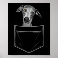 Cool greyhound for men women pocket italian dog