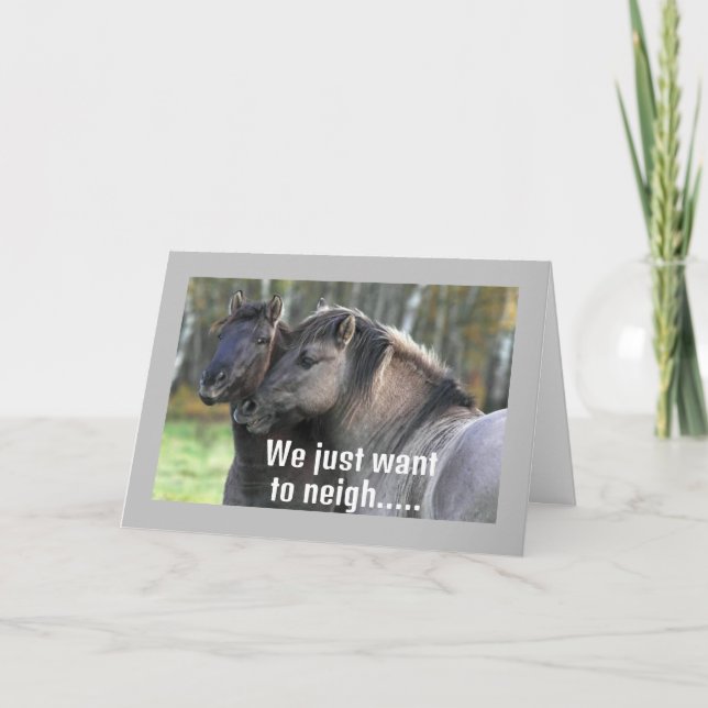 COOL HORSES ARE NEIGHING "HAPPY BIRTHDAY" CARD (Front)