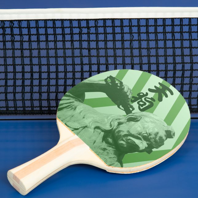 Cool Japanese Crow Tengu Ping Pong Paddle (Insitu)