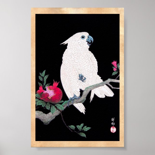 Cool japanese white cockatoo parrot tropical bird poster (Front)