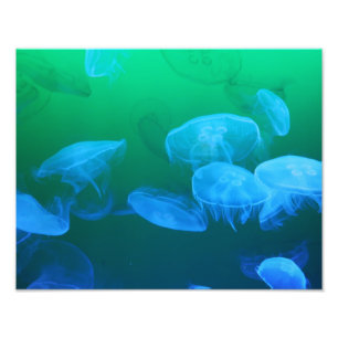 Cool Jellyfish Green Blue Gradient Photo Print