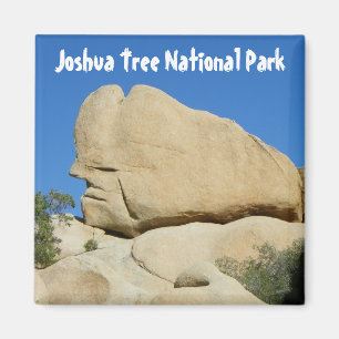 Cool Joshua Tree Park Magnet! Magnet