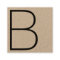 Cool Kraft Professional Monogram Square