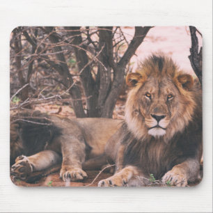 Cool Lion Photo Mouse Pad
