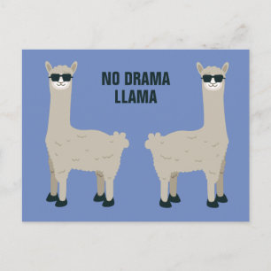 Cool Llama custom text & colour postcard