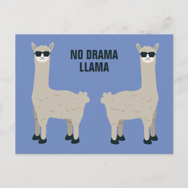 Cool Llama custom text & colour postcard (Front)