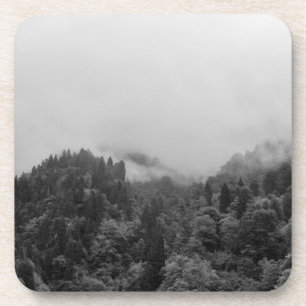 Cool, magical foggy nature coaster