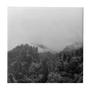 Cool, magical foggy nature tile