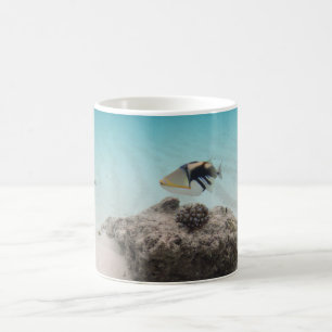 Cool Maldives White Sand Lagoon Fish Souvenir Coffee Mug