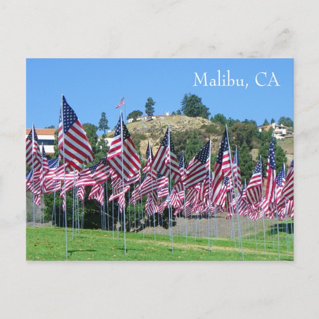 Cool Malibu Postcard! Postcard (Front)