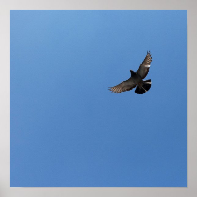 Cool Modern flying bird simple modern design Poster (Front)