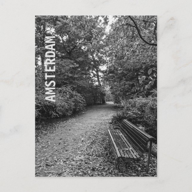 Cool modern unique Amsterdam park Postcard (Front)