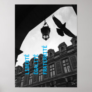 Cool Modern Unique Freedom Paris Art Poster