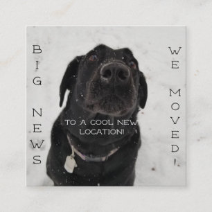 Cool New Location! Postcard