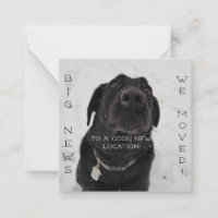 Cool New Location! Postcard