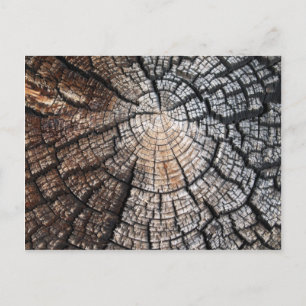 Cool old wood texture postcard