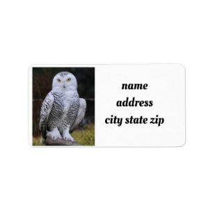 **COOL OWL** ADDRESS LABELS