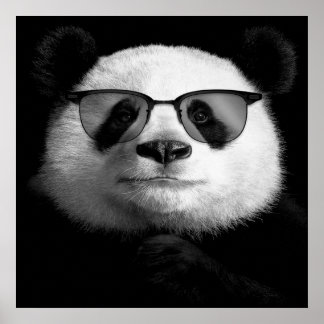 Cool Panda Poster   | Cute Panda Lover