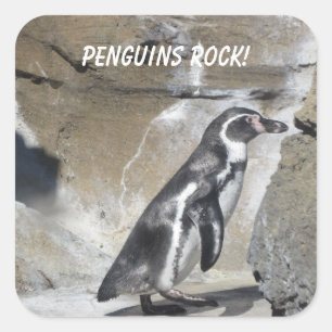 Cool  Penguin Square Sticker
