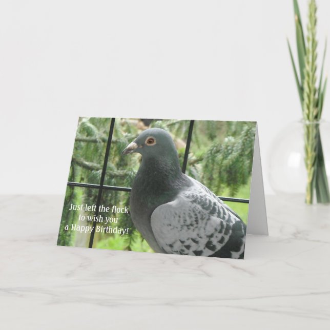 Cool Pigeon Birthday Card (Front)