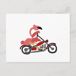 Cool Pink Flamingo Riding Motorcycle Cartoon Postcard