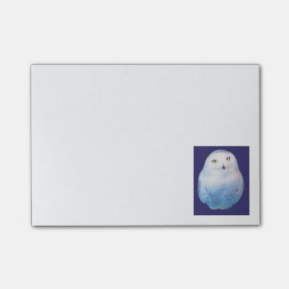 Cool Post-it Snowy Owl Notes
