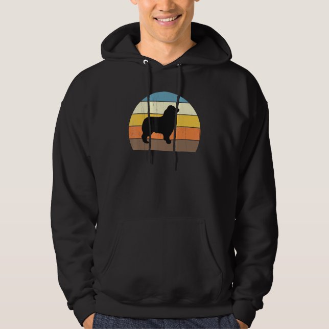 Cool Retro Sunset Australian Shepherds - Great Fun Hoodie (Front)