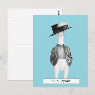 Cool Rubber Chicken Postcard