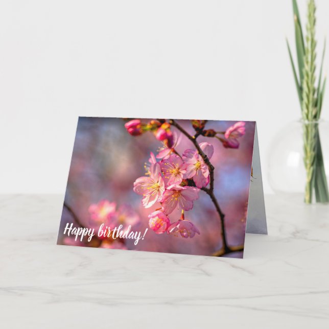 Cool Sakura Flowers On A Cherry Tree In The Garden Card (Front)