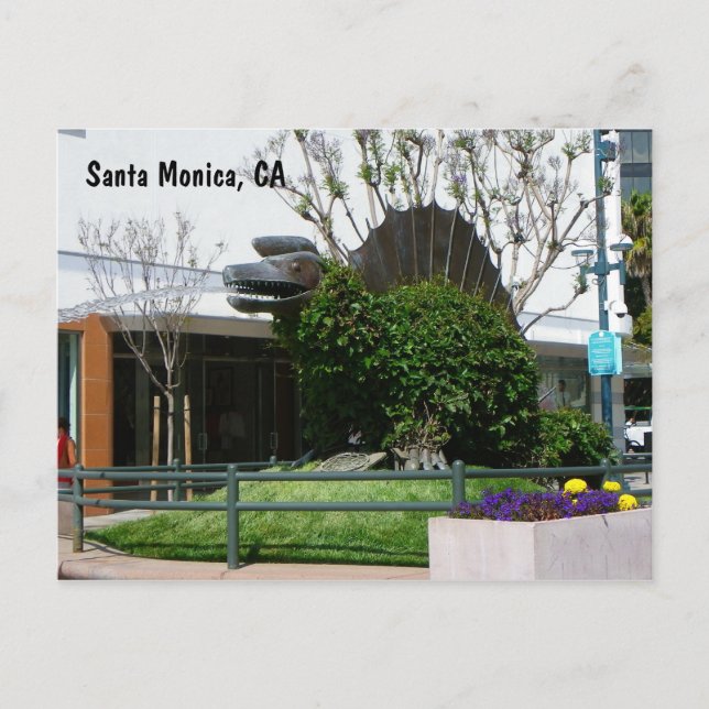 Cool Santa Monica Postcard! Postcard (Front)