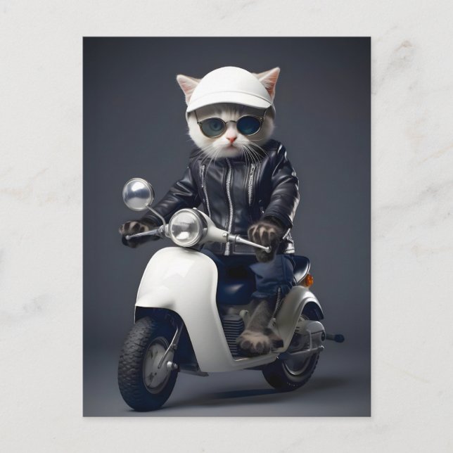 Cool Scooter Kitty Congratulations Postcard (Front)