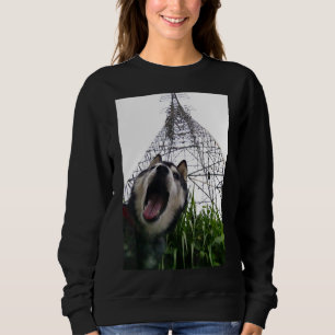 Cool Siberian Husky For Men Women Boys & Girls Sweatshirt