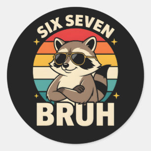 Cool Six Seven Bruh Raccoon Sarcastic Retro Animal Classic Round Sticker