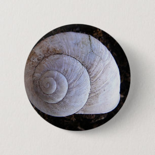 Cool snailshell 6 cm round badge