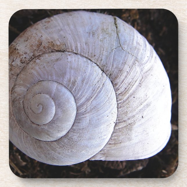 Cool snailshell coaster (Front)