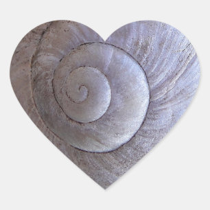 Cool snailshell heart sticker