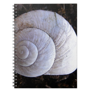 Cool snailshell spiral notebook
