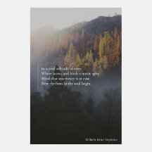 Cool Solitude of Trees Poem Tumblr Image