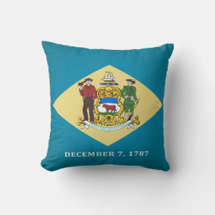 Cool State Of Delaware Flag Cushion
