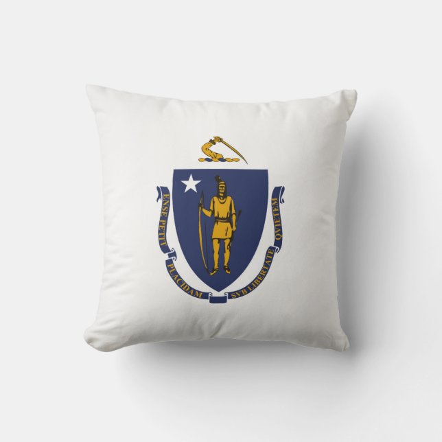 Cool State Of Massachusetts Flag Cushion (Front)