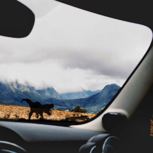 Cool T-rex Dinosaur For Car Truck Window