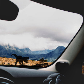 Cool T-rex Dinosaur For Car Truck Window