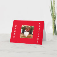 COOL UPBEAT SANTA GNOME SAYS "MERRY CHRISTMAS" HOL