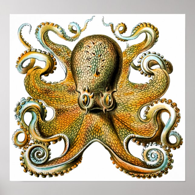 Cool Vintage Octopus Poster (Front)