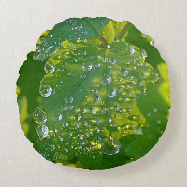 Cool Waterdrops On Green Leaf Round Cushion (Front)