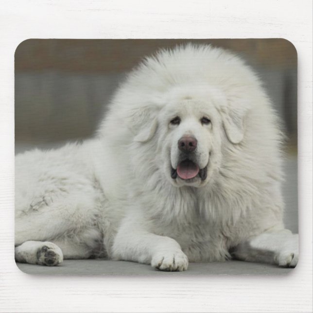 cool White Tibetan Mastiff Mouse Pad (Front)