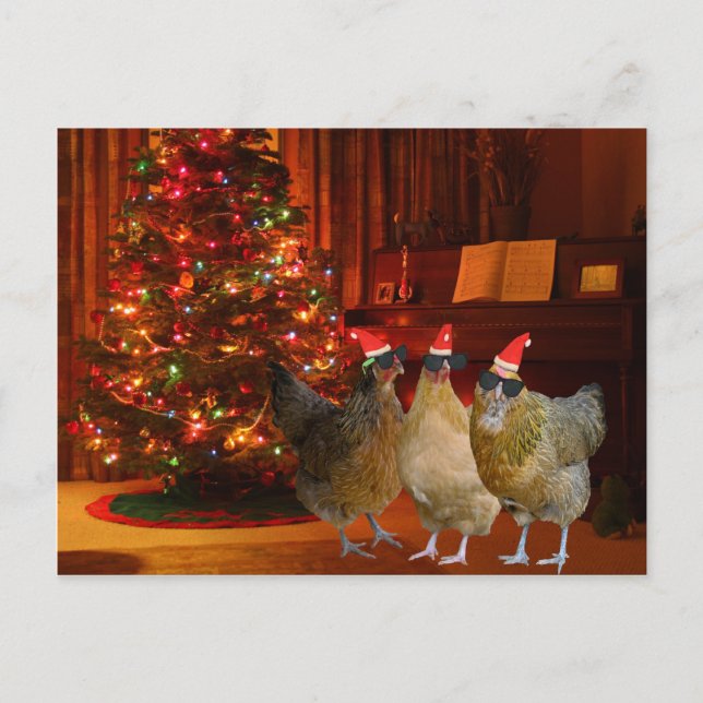 Cool Xmas Chickens Holiday Postcard (Front)